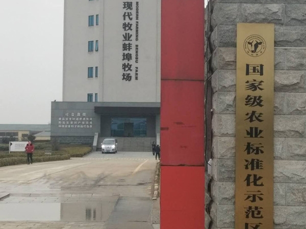 成功案例